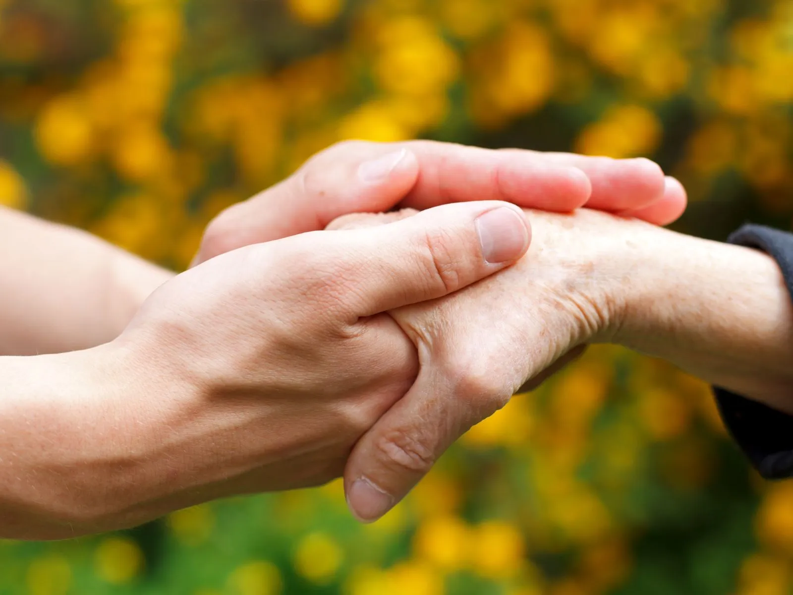 A younger person's hands gently holding an older person's hand